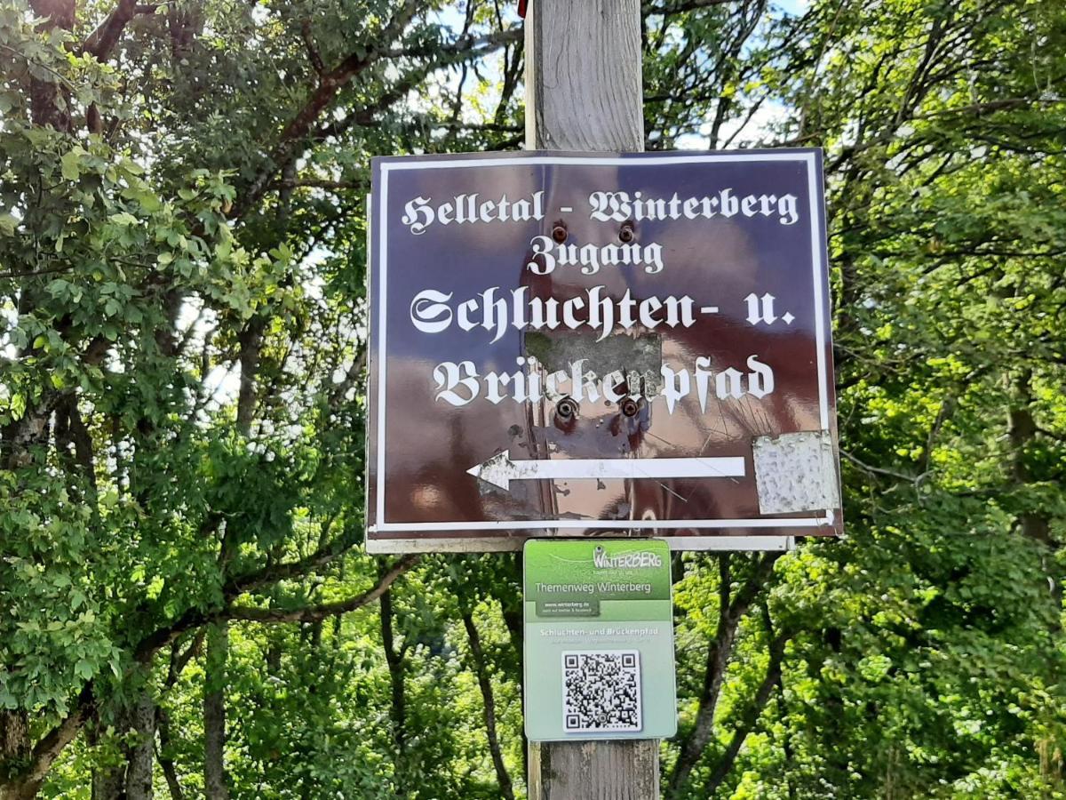Ferienwohnung Zeitlos, Gigantischer Seeblick, Wlan, Gerne Mit Hund 빈터베르크 외부 사진